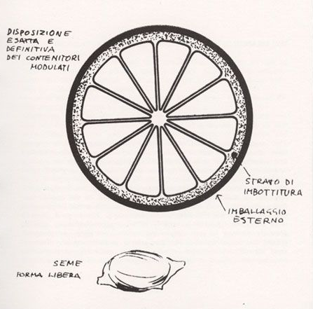 Packaging design arancia Bruno Munari